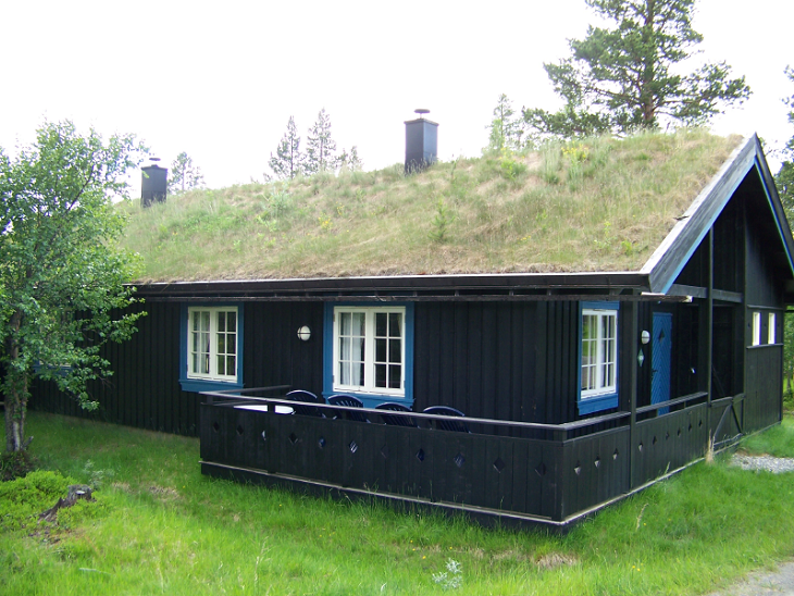Opt For A Green Roof