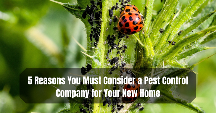 Pest Control Company for Your New Home
