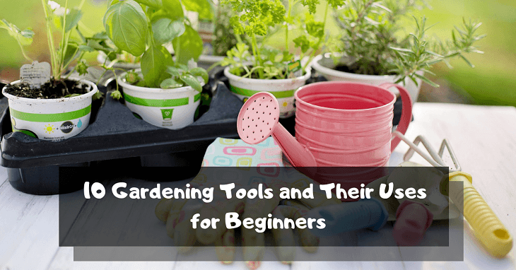 Gardening Tools and Their Uses for Beginners
