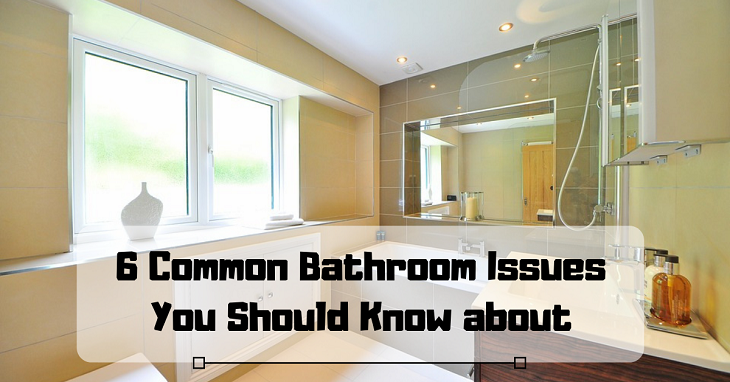 Common Bathroom Issues